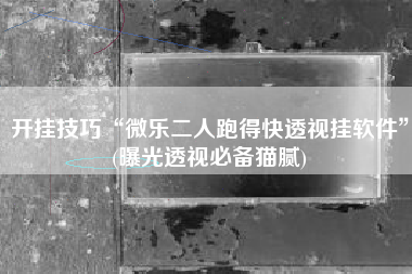 开挂技巧“微乐二人跑得快透视挂软件	”(曝光透视必备猫腻)