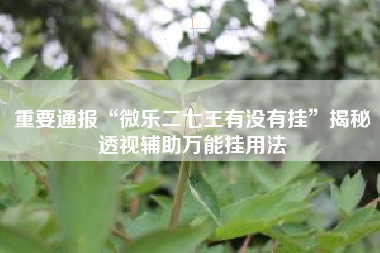 重要通报“微乐二七王有没有挂	”揭秘透视辅助万能挂用法