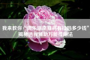 我来教你“微乐湖南麻将有挂吗多少钱”揭秘透视辅助万能挂用法