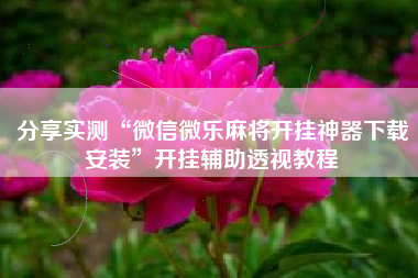 分享实测“微信微乐麻将开挂神器下载安装”开挂辅助透视教程