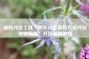 辅助开挂工具“微乐河北麻将万能开挂器通用版”开挂辅助教程
