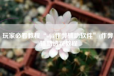 玩家必看教程“wpk作弊辅助软件”(作弊)辅助透视教程