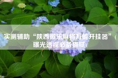 实测辅助“陕西微乐麻将万能开挂器	”(曝光透视必备猫腻)