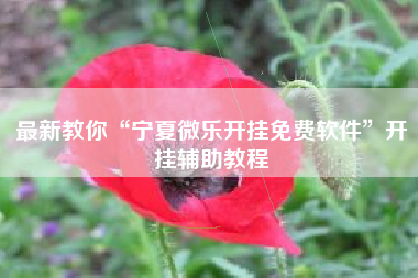 最新教你“宁夏微乐开挂免费软件”开挂辅助教程