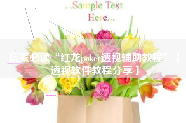 玩家必读“红龙poker透视辅助教程”【透视软件教程分享】