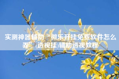 实测神器辅助“微乐开挂免费软件怎么弄	”(透视挂)辅助透视教程