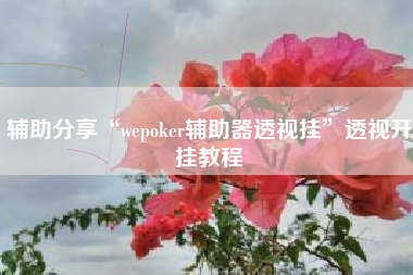 辅助分享“wepoker辅助器透视挂”透视开挂教程