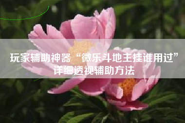 玩家辅助神器“微乐斗地主挂谁用过”详细透视辅助方法