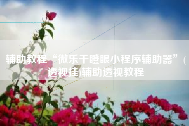 辅助教程“微乐干瞪眼小程序辅助器	”(透视挂)辅助透视教程