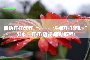 辅助开挂教程“Wepoker透视开挂辅助挂脚本”开挂(透视)辅助教程!