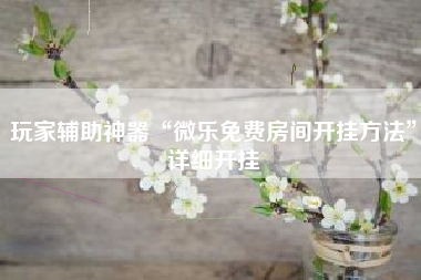 玩家辅助神器“微乐免费房间开挂方法	”详细开挂