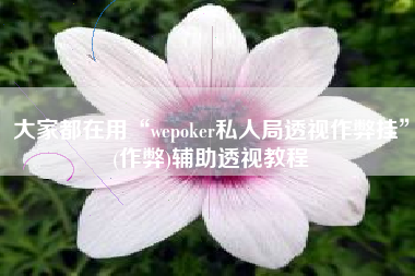 大家都在用“wepoker私人局透视作弊挂”(作弊)辅助透视教程