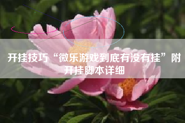 开挂技巧“微乐游戏到底有没有挂”附开挂脚本详细
