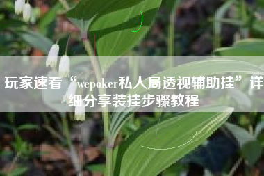 玩家速看“wepoker私人局透视辅助挂”详细分享装挂步骤教程