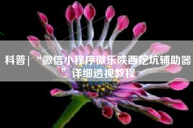 科普|“微信小程序微乐陕西挖坑辅助器	”详细透视教程