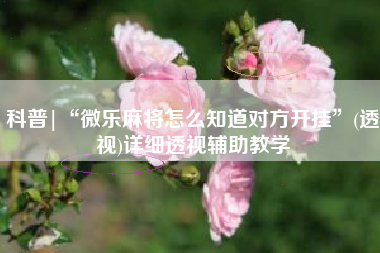 科普|“微乐麻将怎么知道对方开挂	”(透视)详细透视辅助教学