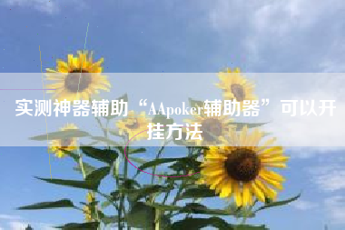 实测神器辅助“AApoker辅助器”可以开挂方法