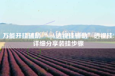 万能开挂辅助“wpk透视挂辅助”透视挂!详细分享装挂步骤