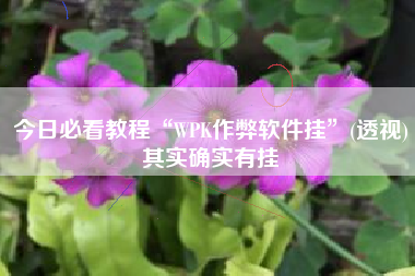 今日必看教程“WPK作弊软件挂	”(透视)其实确实有挂