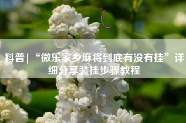 科普|“微乐家乡麻将到底有没有挂	”详细分享装挂步骤教程