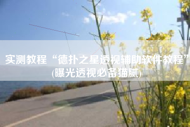 实测教程“德扑之星透视辅助软件教程	”(曝光透视必备猫腻)