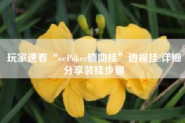 玩家速看“wePoker辅助挂	”透视挂!详细分享装挂步骤