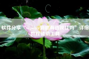 软件分享“wepoker到底有透视挂吗”详细教程辅助工具