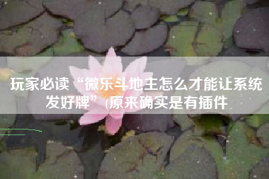 玩家必读“微乐斗地主怎么才能让系统发好牌	”(原来确实是有插件