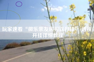 玩家速看“微乐亲友房可以开挂”(透视)开挂详细教程