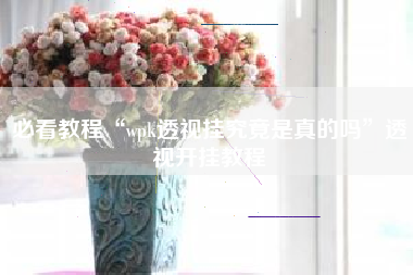 必看教程“wpk透视挂究竟是真的吗	”透视开挂教程