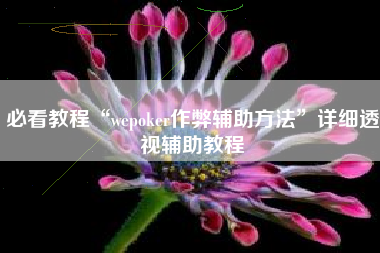 必看教程“wepoker作弊辅助方法	”详细透视辅助教程