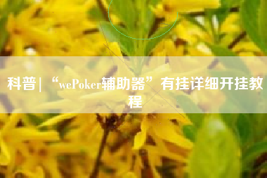 科普|“wePoker辅助器”有挂详细开挂教程