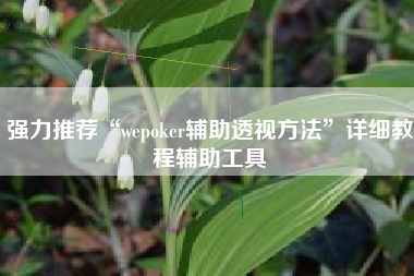 强力推荐“wepoker辅助透视方法	”详细教程辅助工具