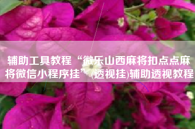 辅助工具教程“微乐山西麻将扣点点麻将微信小程序挂	”(透视挂)辅助透视教程