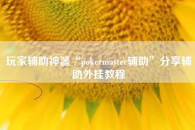玩家辅助神器“pokermaster辅助	”分享辅助外挂教程