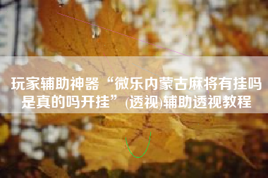 玩家辅助神器“微乐内蒙古麻将有挂吗是真的吗开挂”(透视)辅助透视教程