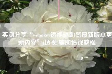 实测分享“wepoker透视辅助器最新版本更新内容	”(透视)辅助透视教程