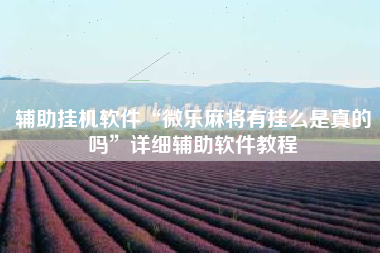 辅助挂机软件“微乐麻将有挂么是真的吗”详细辅助软件教程