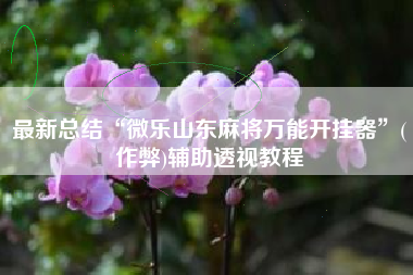 最新总结“微乐山东麻将万能开挂器”(作弊)辅助透视教程