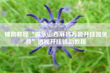 辅助教程“微乐山西麻将万能开挂器免费	”透视开挂辅助教程