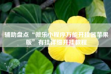 辅助盘点“微乐小程序万能开挂器苹果版”有挂详细开挂教程