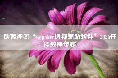 助赢神器“wepoker透视辅助软件”2026开挂教程步骤