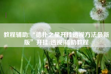 教程辅助!“德扑之星开挂透视方法最新版	”开挂(透视)辅助教程