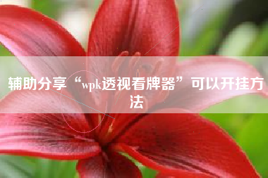 辅助分享“wpk透视看牌器”可以开挂方法