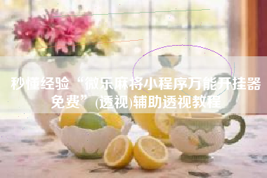 秒懂经验“微乐麻将小程序万能开挂器免费”(透视)辅助透视教程