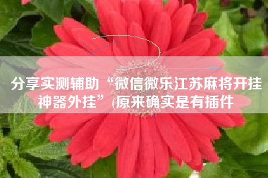 分享实测辅助“微信微乐江苏麻将开挂神器外挂”(原来确实是有插件
