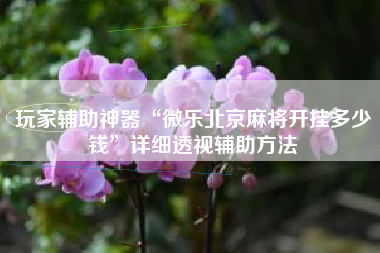 玩家辅助神器“微乐北京麻将开挂多少钱”详细透视辅助方法