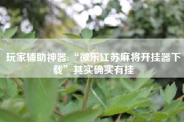 玩家辅助神器:“微乐江苏麻将开挂器下载”其实确实有挂