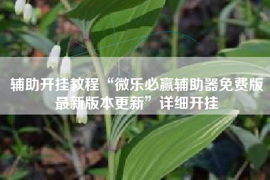 辅助开挂教程“微乐必赢辅助器免费版最新版本更新”详细开挂