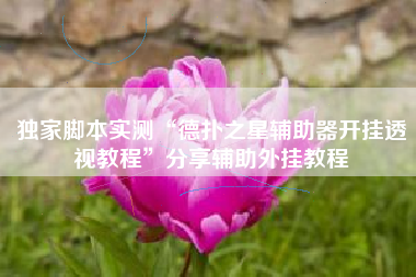 独家脚本实测“德扑之星辅助器开挂透视教程	”分享辅助外挂教程